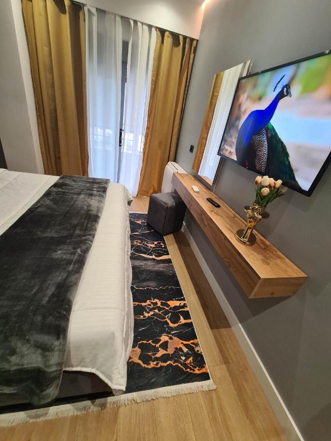 Gjirokastër Grey Luxury Apartment מראה חיצוני תמונה